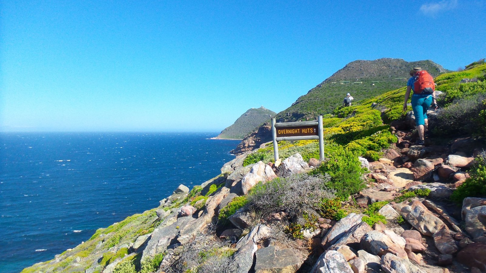 Фото из отзыва 4