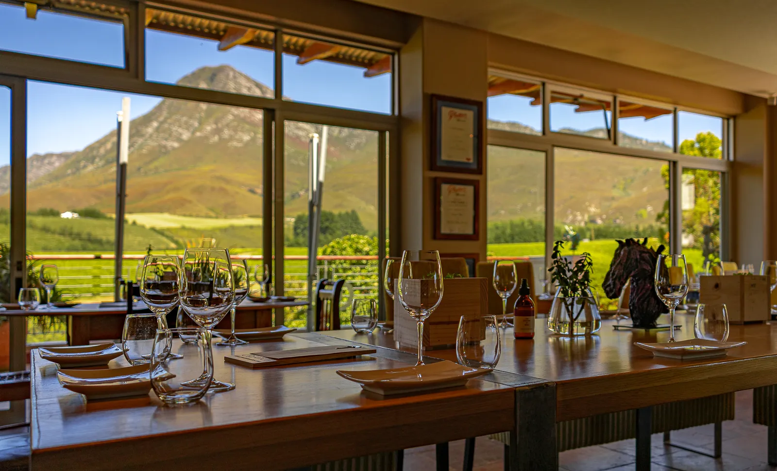 Creation Wines