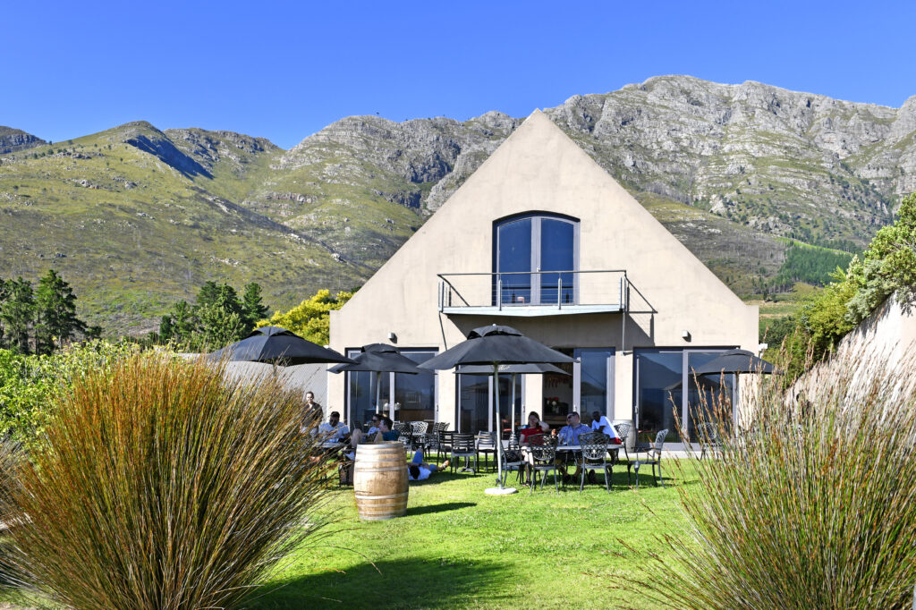 Dieu Donné Vineyards