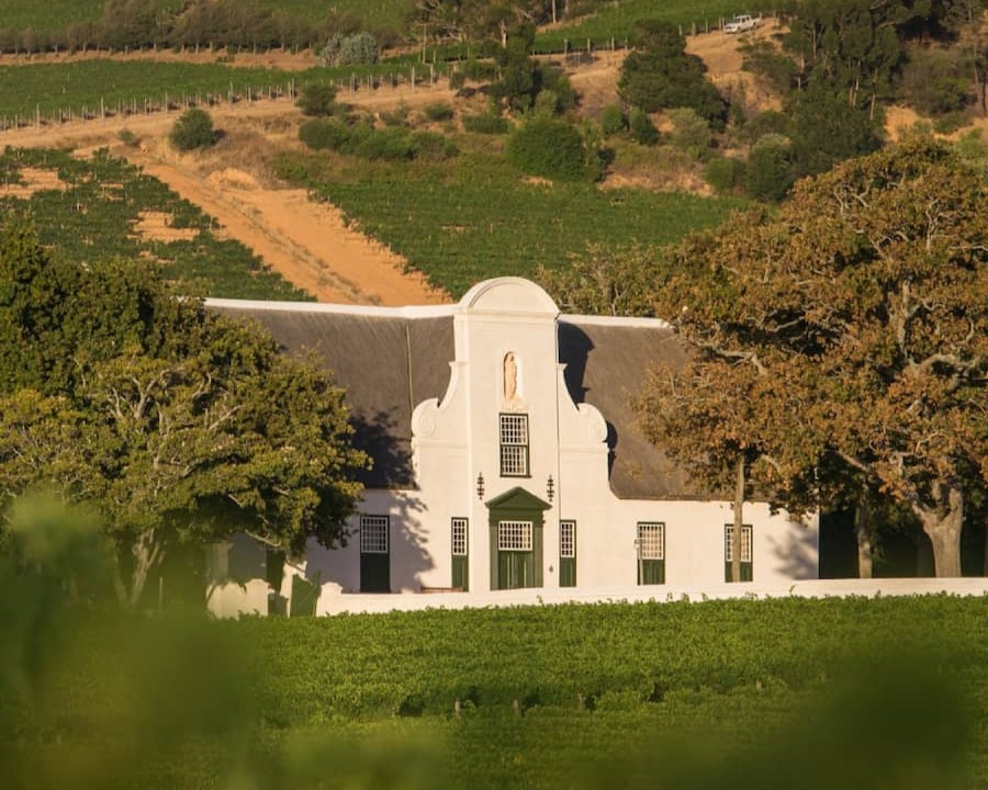 Groot Constantia