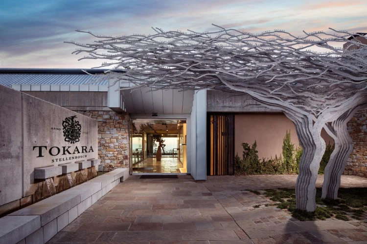 Tokara Wine & Olive Estate